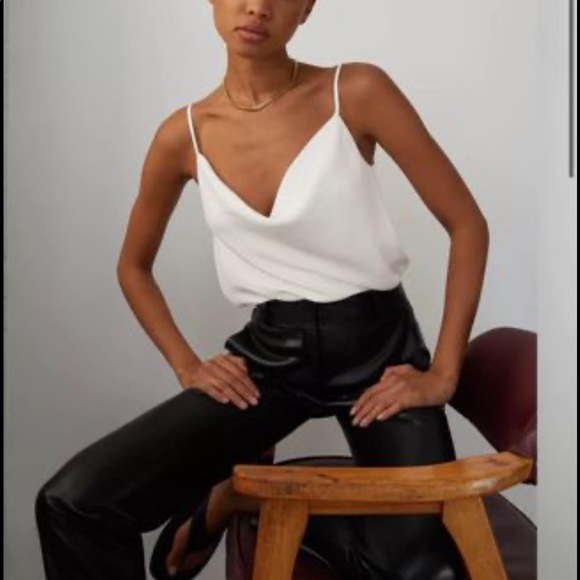 Aritzia Tops - Aritzia Babaton Cowlneck Camisole